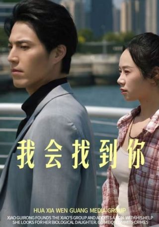 短剧我会找到你海报