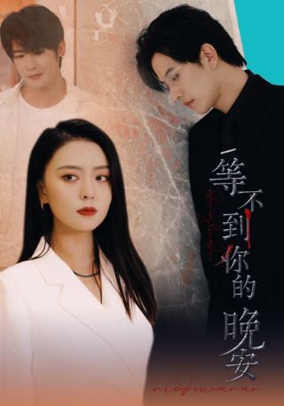 短剧等不到你的晚安海报