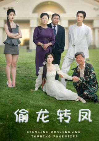 短剧偷龙转凤海报