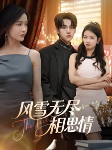 短剧风雪无尽相思情海报