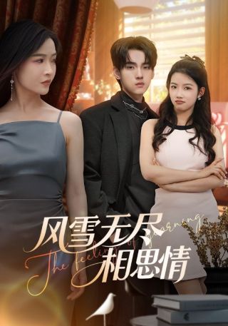 短剧风雪无尽相思情海报