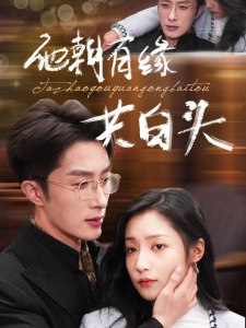 短剧他朝有缘共白头海报