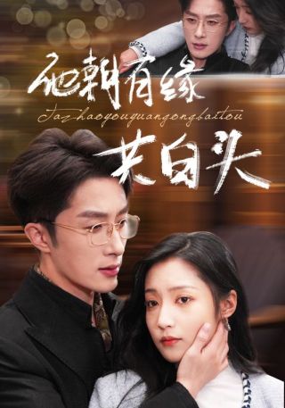 短剧他朝有缘共白头海报