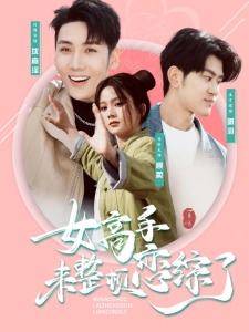 短剧女高手来整顿恋综了海报