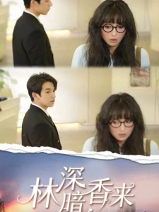 短剧林深暗香来海报