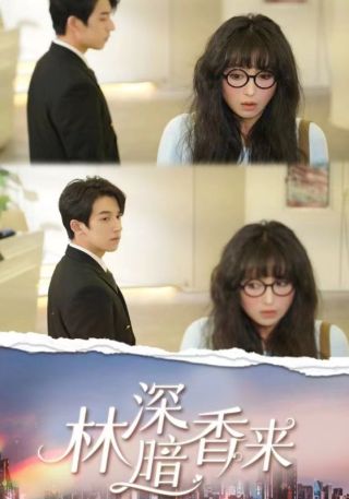 短剧林深暗香来海报