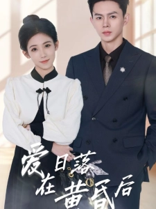 短剧爱在日落黄昏后海报