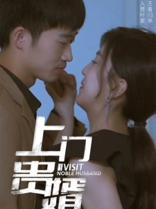 短剧上门贵婿海报