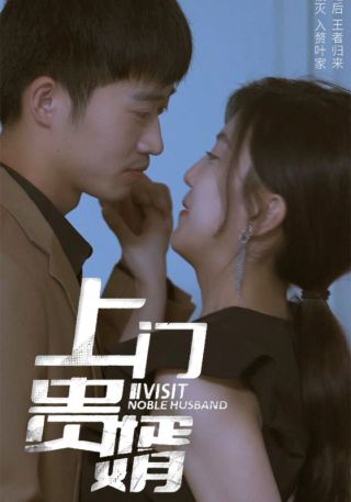 短剧上门贵婿海报