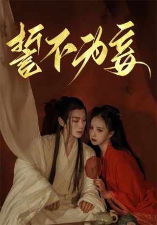 短剧誓不为妾海报