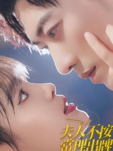 短剧夫人不按常理出牌海报