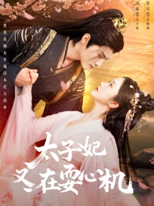 短剧太子妃又在耍心机海报