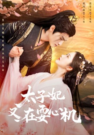 短剧太子妃又在耍心机海报