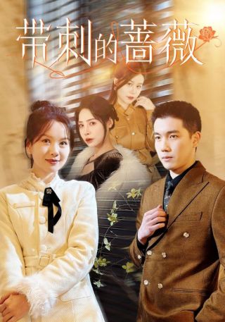 短剧带刺的蔷薇海报