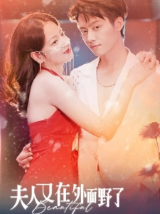 短剧夫人又在外面野了海报