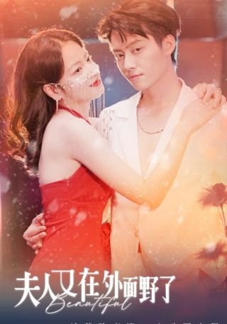 短剧夫人又在外面野了海报