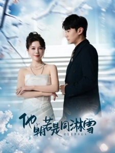 短剧他朝若是同淋雪海报