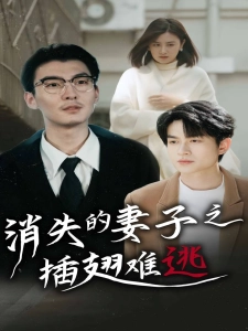 短剧消失的妻子之插翅难逃海报