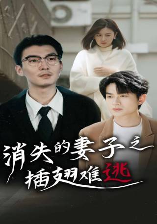 短剧消失的妻子之插翅难逃海报