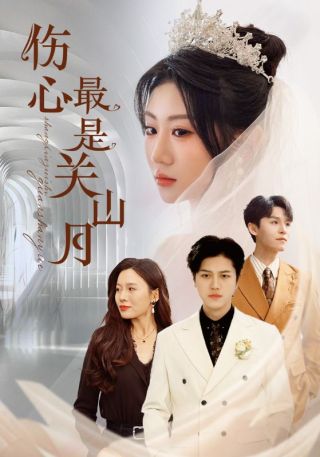 短剧伤心最是关山月海报