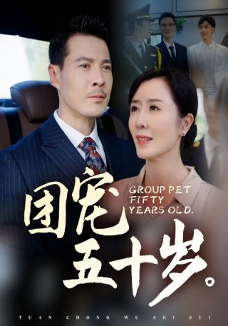 短剧团宠五十岁海报