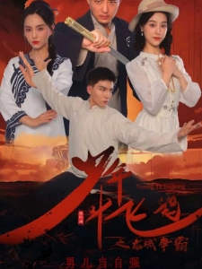 短剧少年叶飞鸿之龙城争霸海报