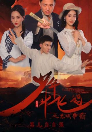 短剧少年叶飞鸿之龙城争霸海报