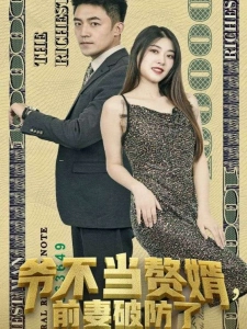 短剧爷不当赘婿，前妻破防了海报