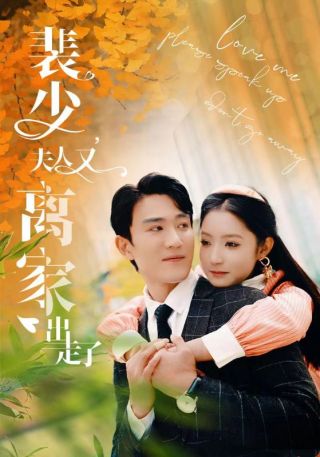 短剧裴少，夫人又离家出走了海报