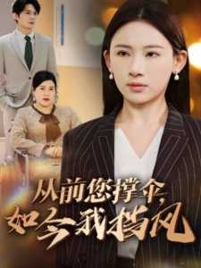 短剧从前您撑伞，如今我挡风海报