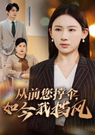 短剧从前您撑伞，如今我挡风海报