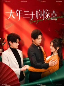 短剧大年三十的惊喜海报