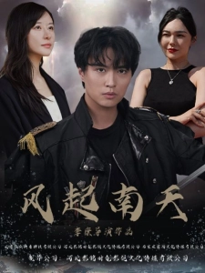 短剧风起南天海报