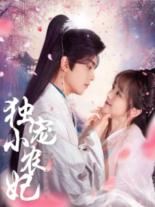 短剧独宠小农妃海报