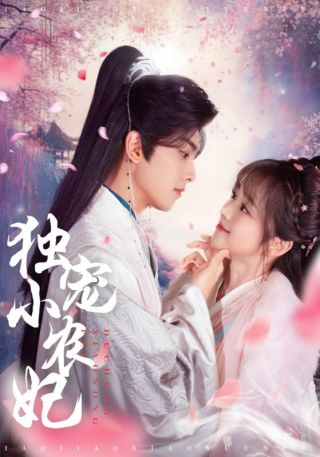 短剧独宠小农妃海报