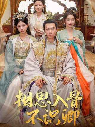 短剧相思入骨不识卿海报