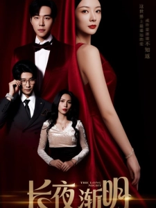 短剧长夜渐明海报