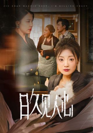 短剧日久见人心海报