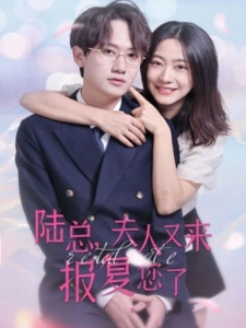 短剧陆总，夫人又来报复您了海报