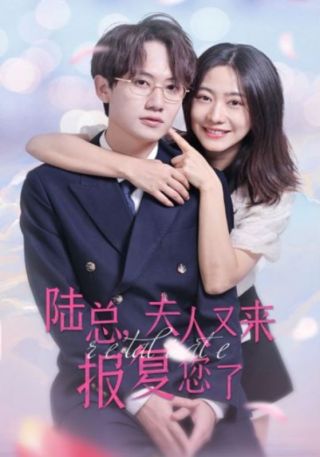 短剧陆总，夫人又来报复您了海报