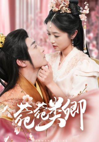 短剧菀菀类卿海报