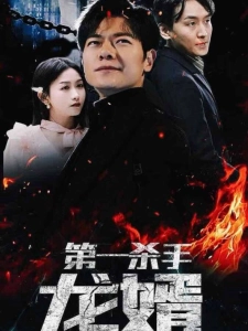 短剧第一杀手龙婿海报