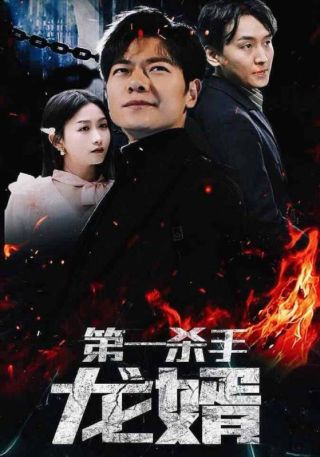 短剧第一杀手龙婿海报