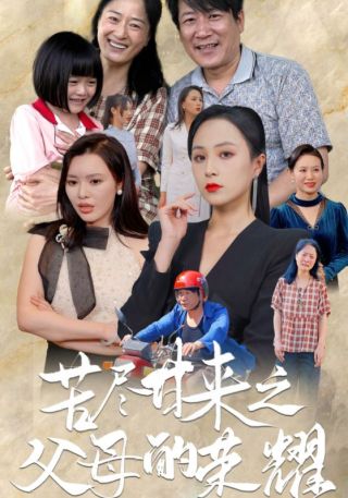 短剧苦尽甘来之父母的荣耀海报