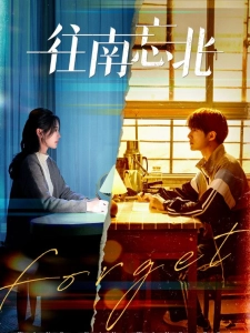 短剧往南忘北海报