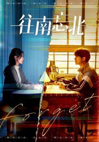 短剧往南忘北海报