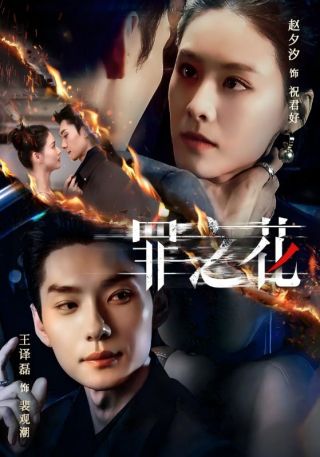 短剧罪之花海报