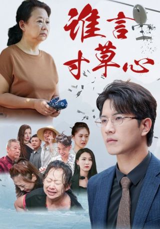 短剧谁言寸草心海报