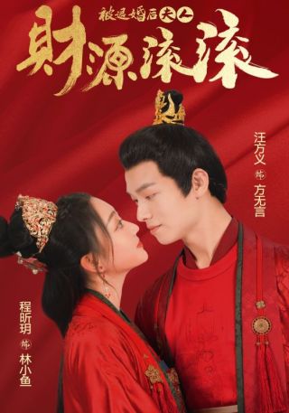 短剧被退婚后夫人财源滚滚海报