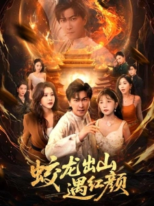 短剧蛟龙出山遇红颜海报